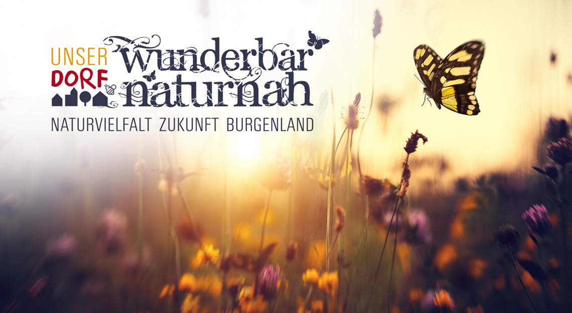 Werbeagentur Wien ideas4you Land Bgld Werbeagentur Wien ideas4you Land Bgld