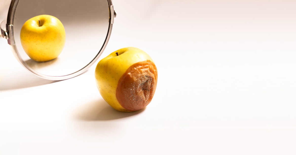 Werbeagentur Wien ideas4you Apfel