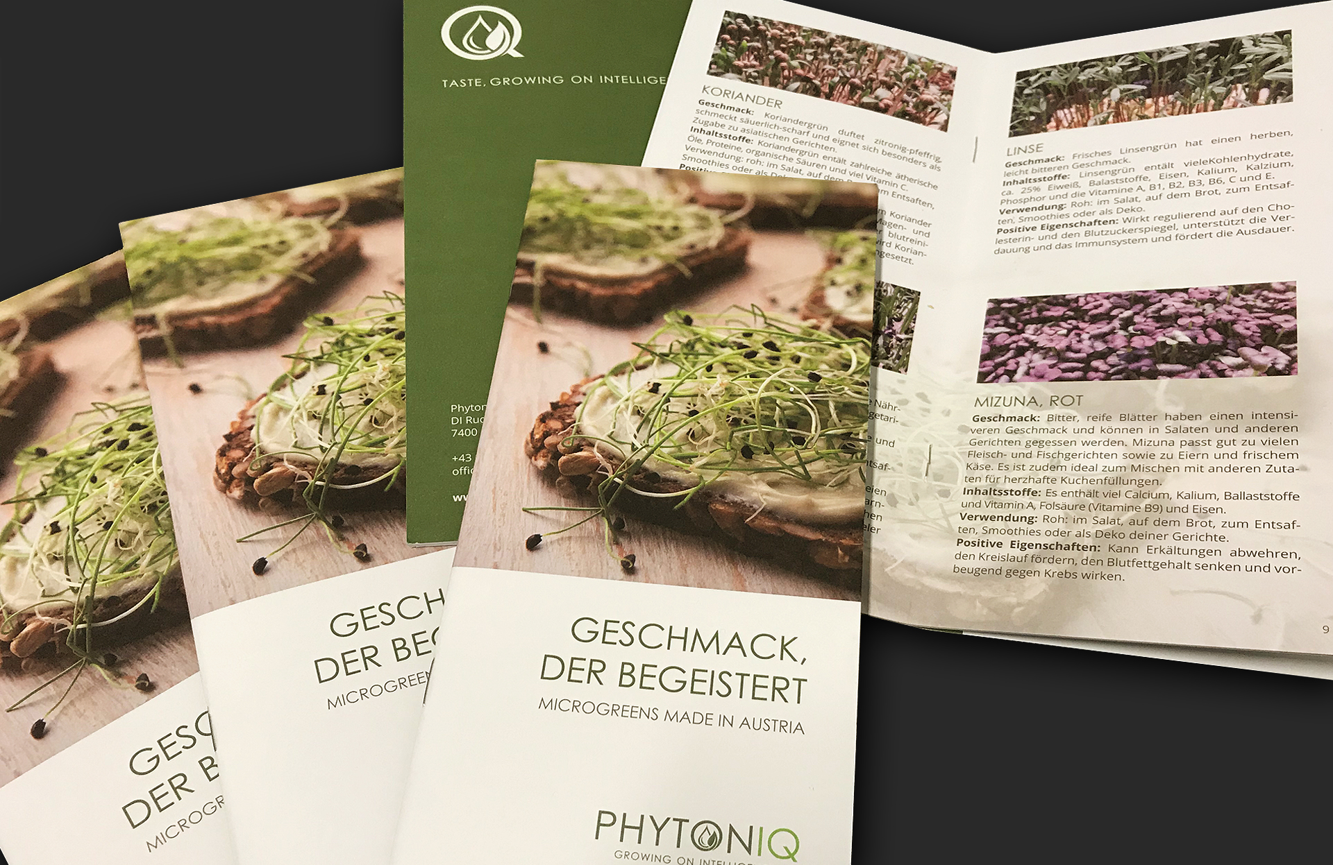 werbeagentur-wien-burgenland-ideas4you-phyto Werbeagentur Wien Burgenland ideas4you